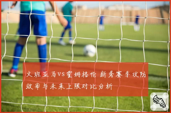 文班亚马vs霍姆格伦 新秀赛季攻防效率与未来上限对比分析