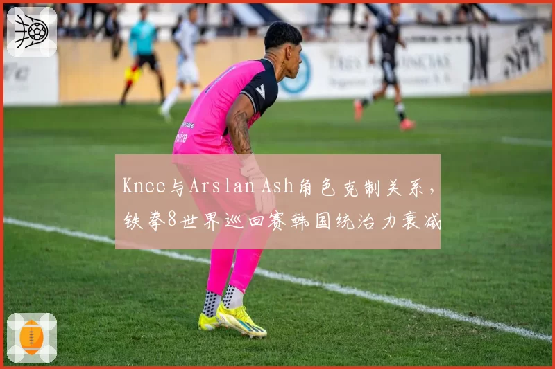 Knee与Arslan Ash角色克制关系,铁拳8世界巡回赛韩国统治力衰减