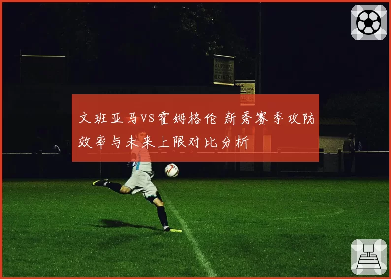 文班亚马vs霍姆格伦 新秀赛季攻防效率与未来上限对比分析