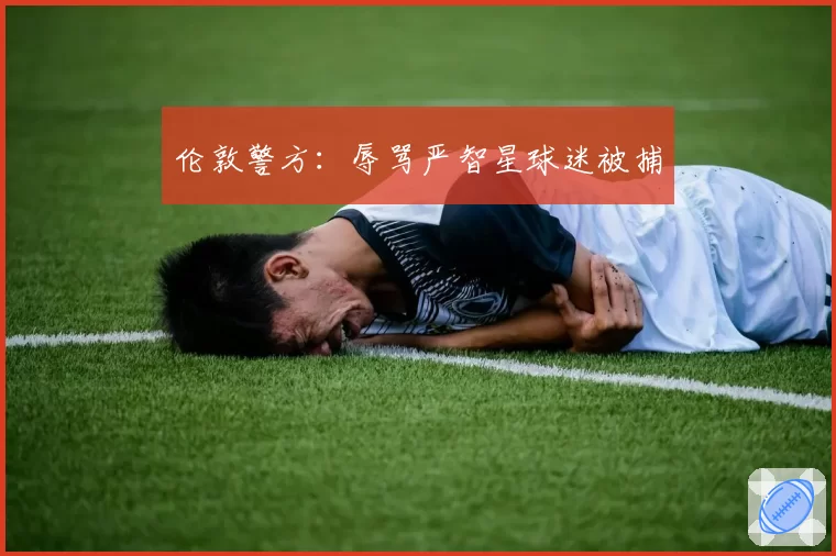 伦敦警方:辱骂严智星球迷被捕